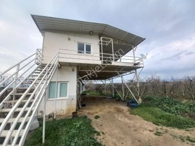 Arsa-Bağ & Bahçe