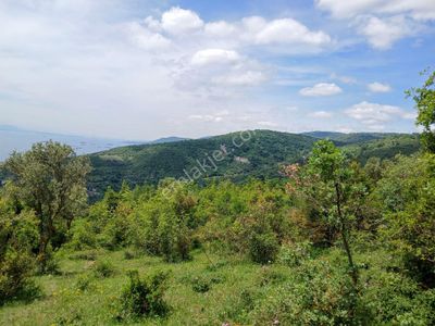 Arsa-Bağ & Bahçe