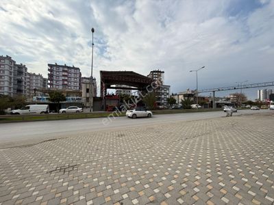 İşyeri-Dükkan & Mağaza