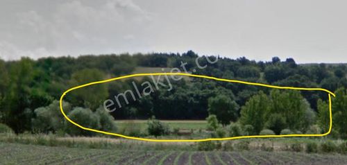 Arsa-Tarla
