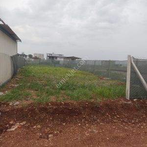Arsa-Konut İmarlı