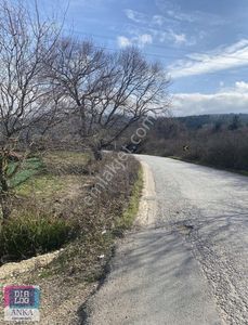 Arsa-Tarla
