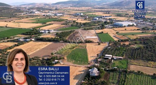 Arsa-Tarla