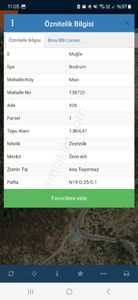 Arsa-Zeytinlik