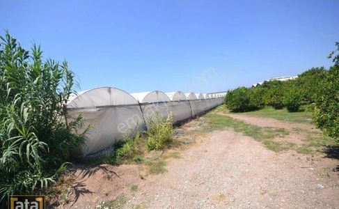 Arsa-Depo, Antrepo İzinli