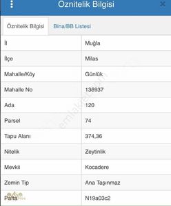 Arsa-Zeytinlik