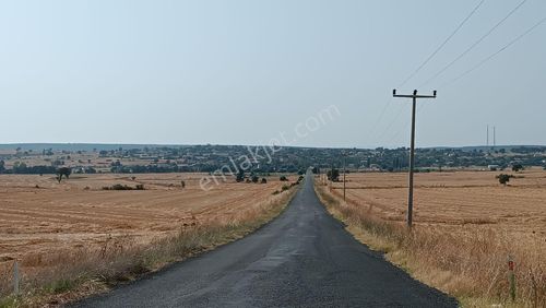 Arsa-Bağ & Bahçe