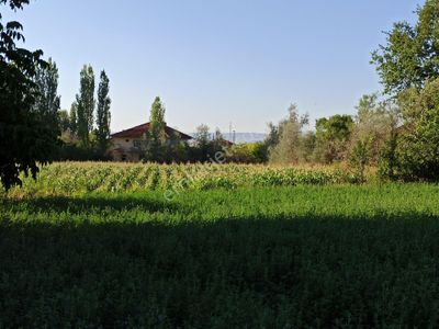 Arsa-Konut İmarlı