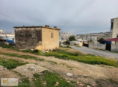 Arsa-Tarla