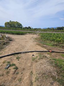 Arsa-Tarla