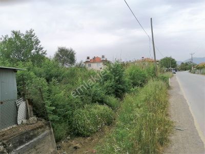 Arsa-Tarla