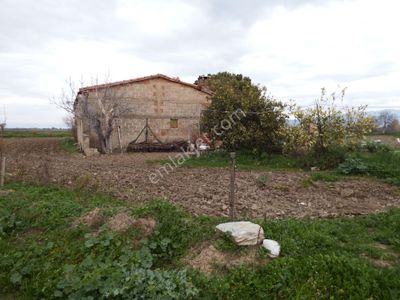 Arsa-Bağ & Bahçe