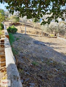 Arsa-Konut İmarlı