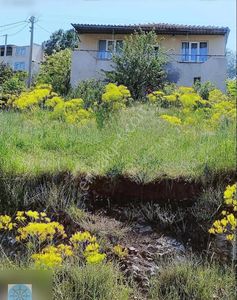Arsa-Konut İmarlı