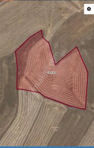 Arsa-Tarla
