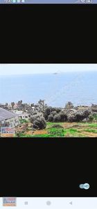 Arsa-Konut İmarlı