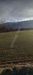Arsa-Sanayi İmarlı