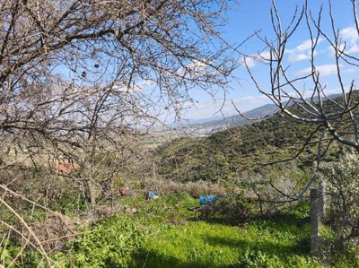 Arsa-Konut İmarlı
