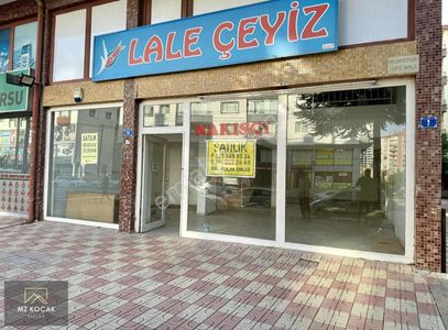 İşyeri-Dükkan & Mağaza
