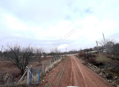 Arsa-Bağ & Bahçe