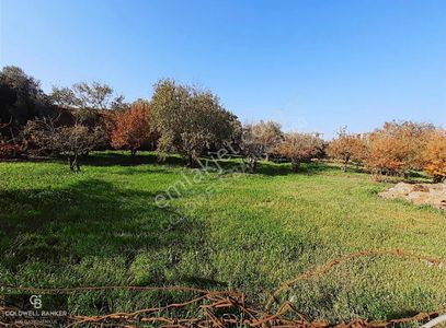 Arsa-Villa İmarlı