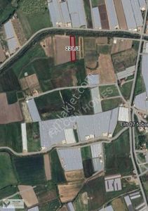 Arsa-Tarla