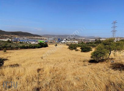 Arsa-Bağ & Bahçe