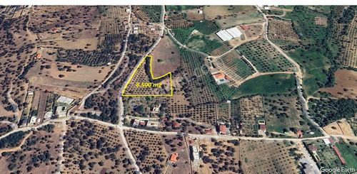 Arsa-Zeytinlik