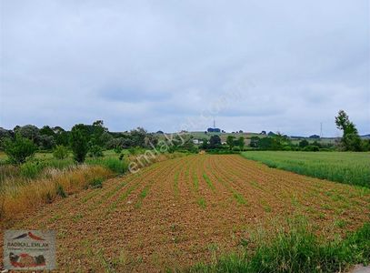 Arsa-Tarla