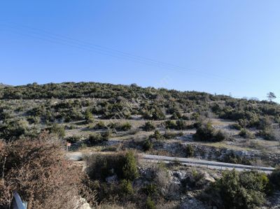 Arsa-Tarla