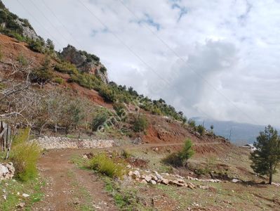 Arsa-Tarla