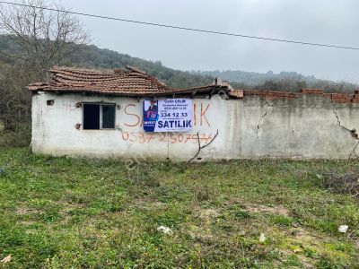 Arsa-Zeytinlik