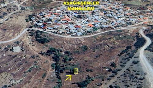 Arsa-Bağ & Bahçe
