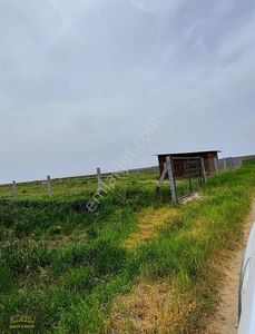 Arsa-Tarla