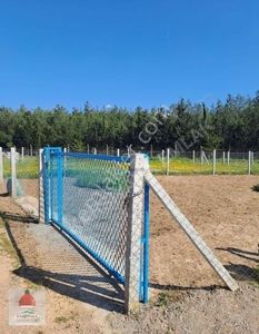 Arsa-Tarla