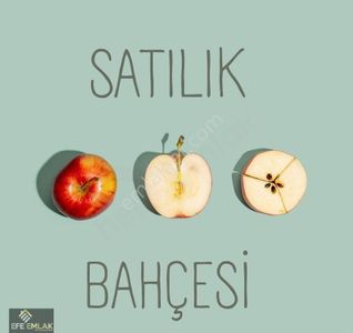 Arsa-Bağ & Bahçe
