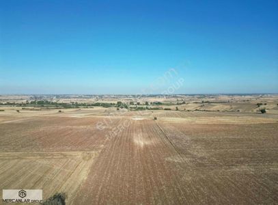 Arsa-Tarla