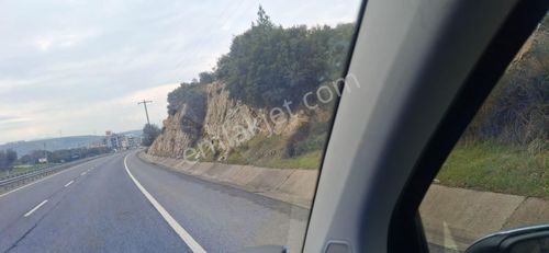 Arsa-Zeytinlik