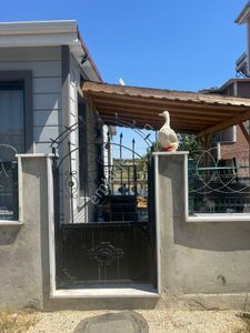 Konut-Müstakil Ev