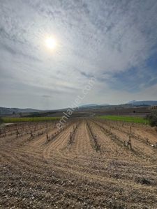 Arsa-Tarla