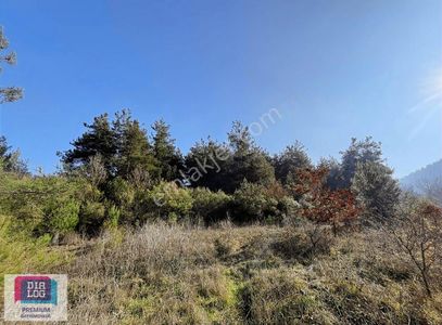 Arsa-Villa İmarlı