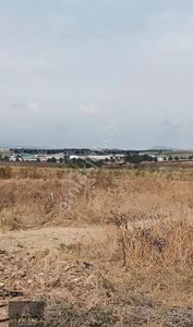 Arsa-Tarla