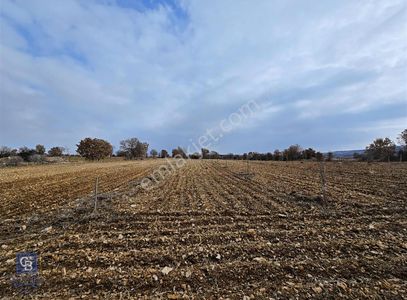 Arsa-Tarla