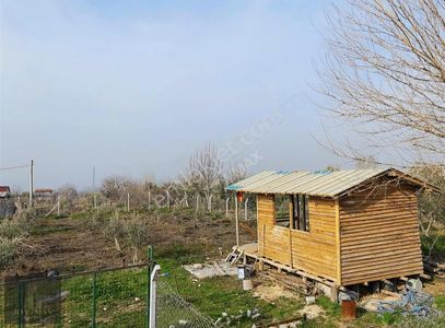 Arsa-Konut İmarlı