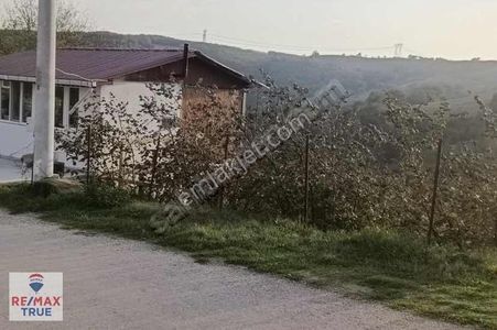 Arsa-Bağ & Bahçe
