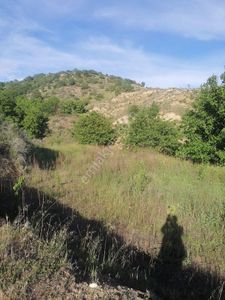 Arsa-Bağ & Bahçe