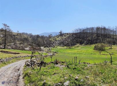 Arsa-Tarla