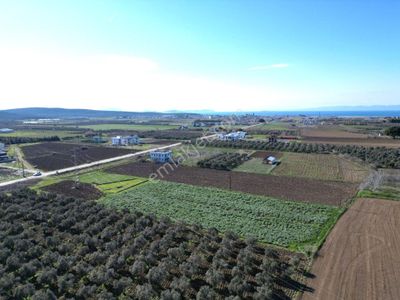 Arsa-Konut İmarlı
