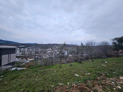 Arsa-Villa İmarlı