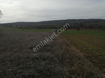 Arsa-Tarla